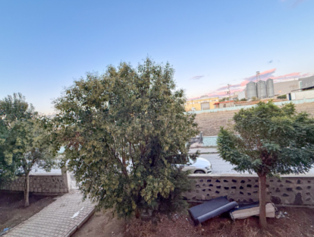 Karadeniz Mahallesi Toki Konutlarında İskanlı Satılık 1+1 Daire