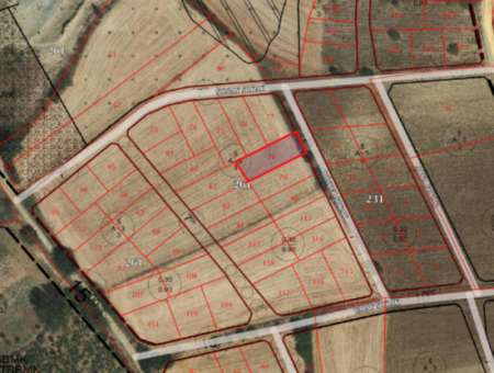 Tekirdağ Kumbağ'da İmarlı İfrazlı Yatırıma Uygun Satılık Arsa