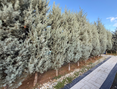 Kumbağ'da Havuzlu Butik Sitede Bahçeli Full Eşyalı Satılık 2+1 Daire