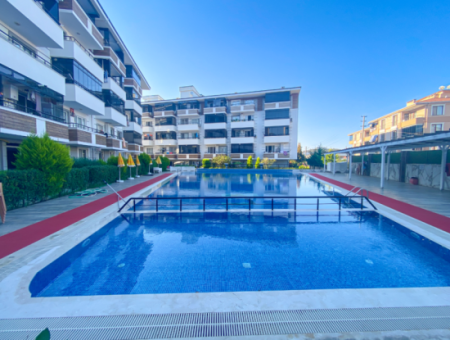 Kumbağ'da Merkezi Konumda Havuzlu Sitede İskanlı Satılık 1+1 Daire