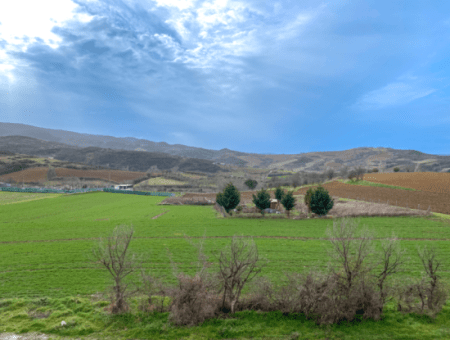 Kumbağ Havuzlu Sitede Full Eşyalı Sezonluk Kiralık Lüks 1+1 Daire