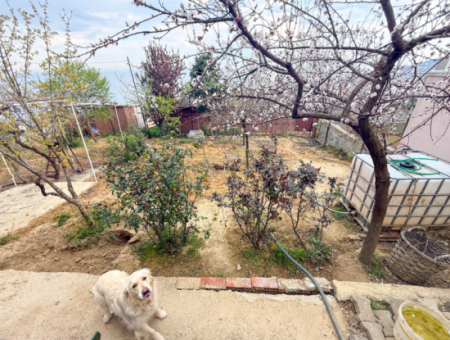 Kumbağ'da Panoramik Deniz Manzaralı Satılık 3+1 Dubleks Villa