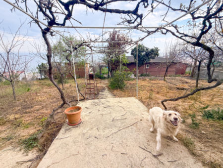 Kumbağ'da Panoramik Deniz Manzaralı Satılık 3+1 Dubleks Villa