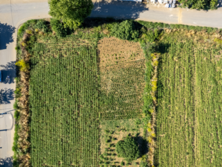 Kumbağ'da Hızlı Gelişen Bölgede 308 M2 Konut İmarlı Satılık Arsa
