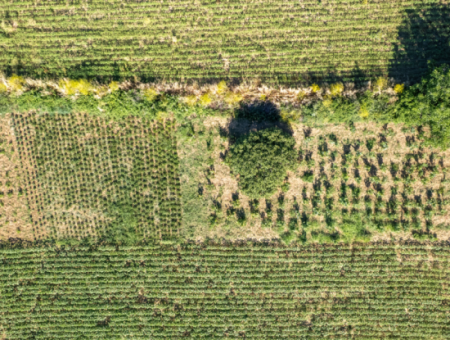 Kumbağ'da Hızlı Gelişen Bölgede 308 M2 Konut İmarlı Satılık Arsa