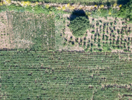 Kumbağ'da Hızlı Gelişen Bölgede 308 M2 Konut İmarlı Satılık Arsa