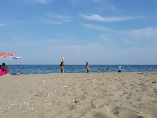 Kumbağ Fotoğrafları