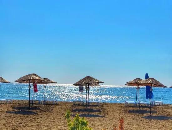 Kumbağ Fotoğrafları