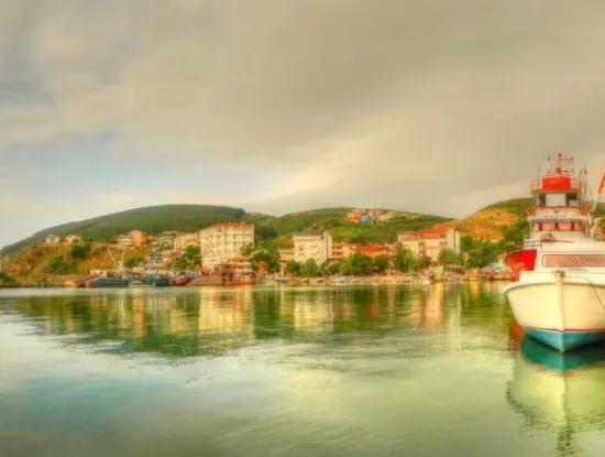 Kumbağ Fotoğrafları