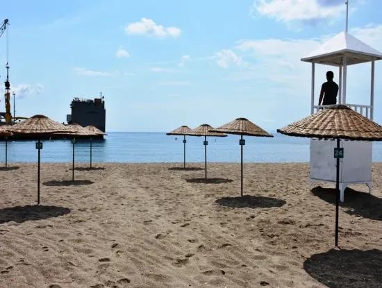 Kumbağ Fotoğrafları